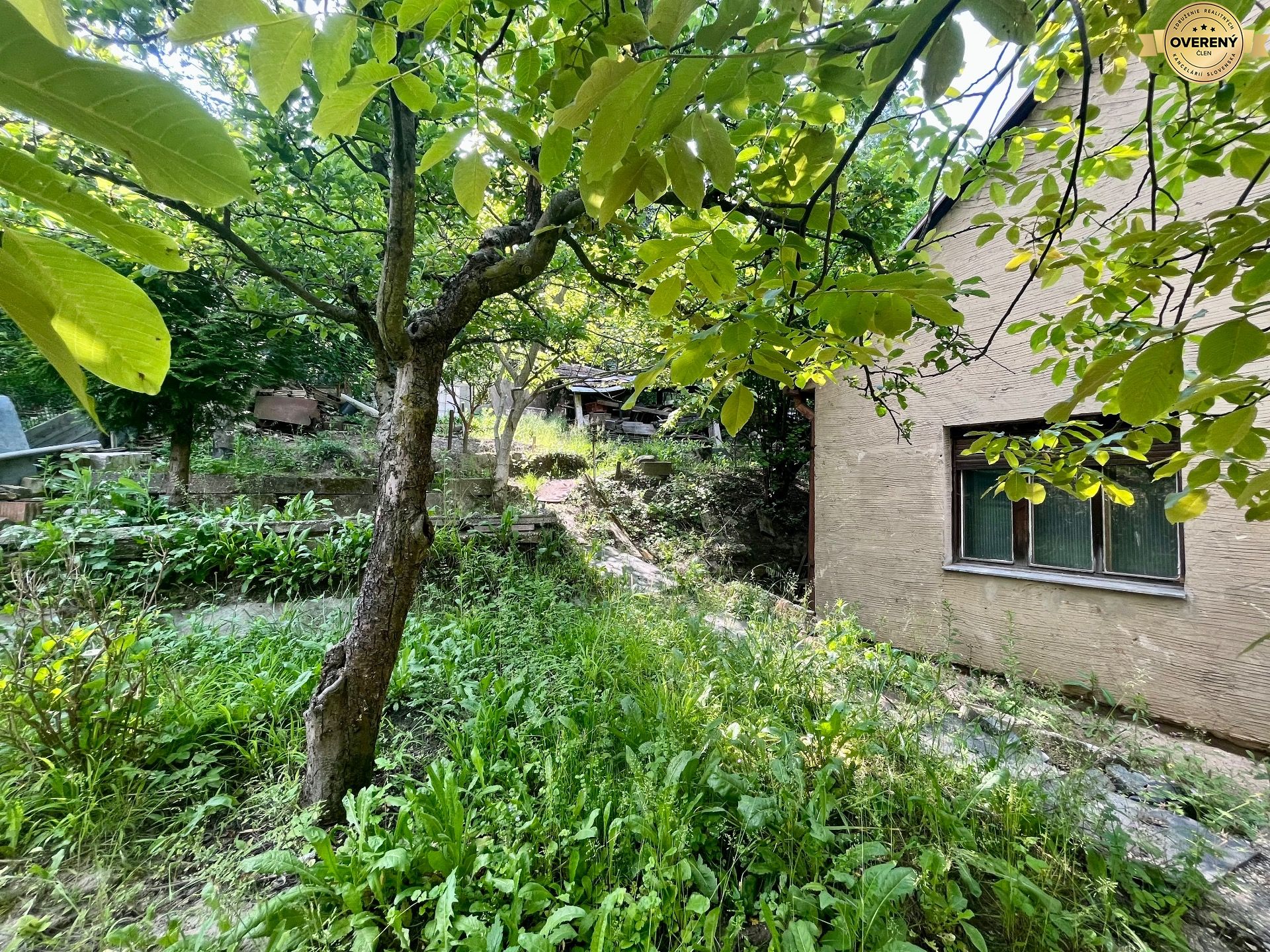 NUERA | FOR SALE Unique plot with old house near Horský park, Budkova 