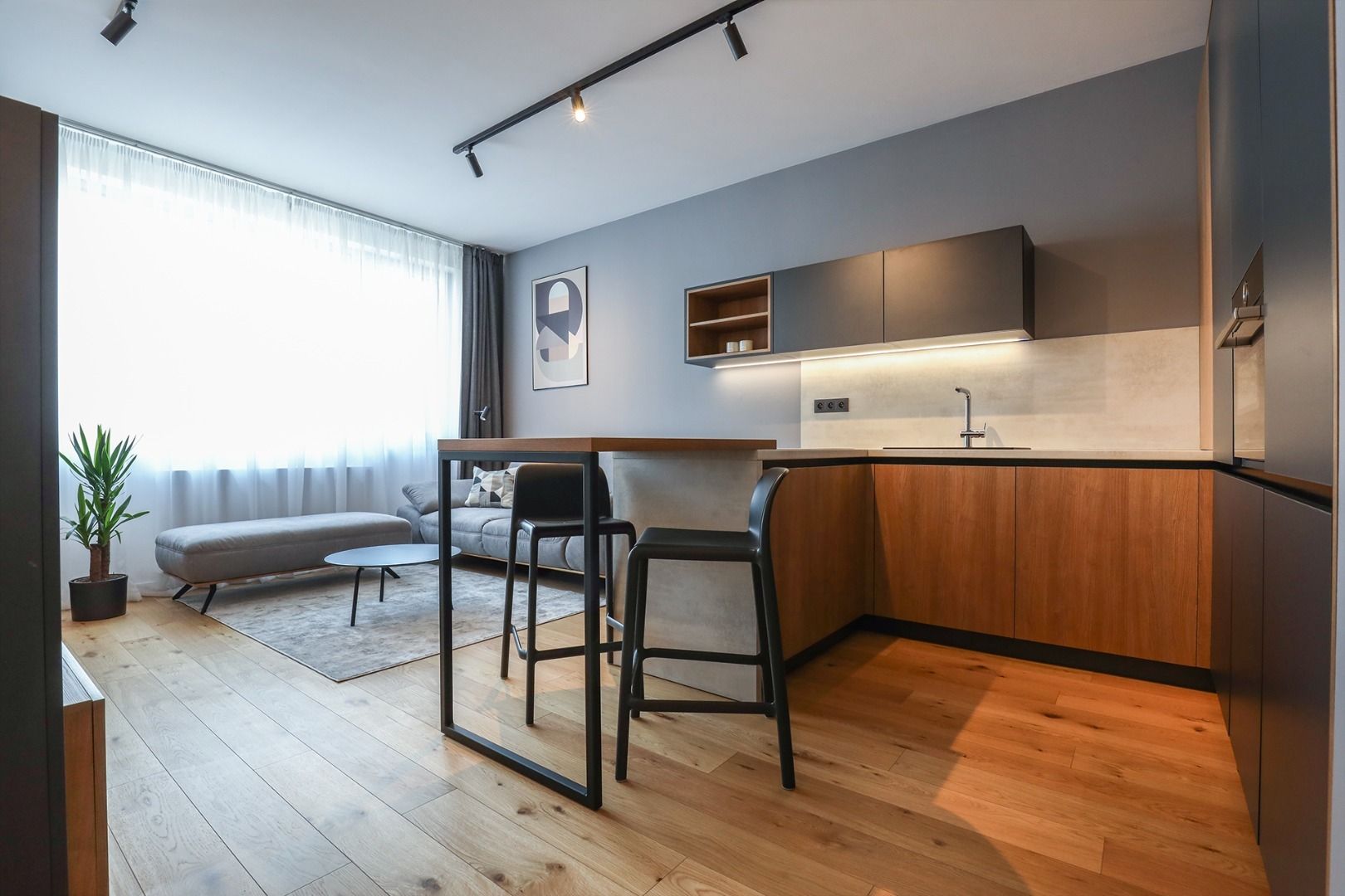 Rent One bedroom apartment, Továrenská, Bratislava - Staré Mesto, Slov